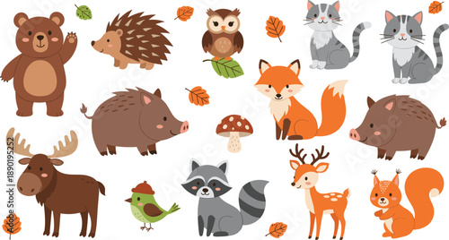 Forest animal vector set. Cute cartoon woodland animals with autumn elements. Bear, fox, deer, raccoon and squirrel illustrations for kids design and education.