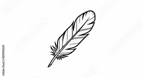 Single black and white feather illustration with detailed texture on plain