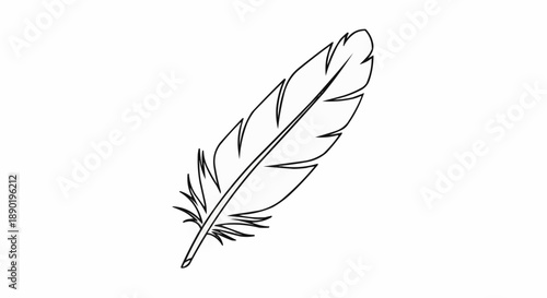 Black and white illustration of a single feather on white background