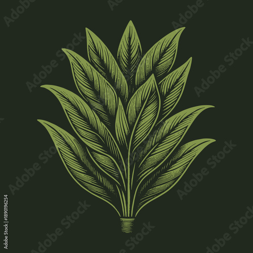 Elegant Botanical Illustration: A Verdant Display of Artful Leaves.