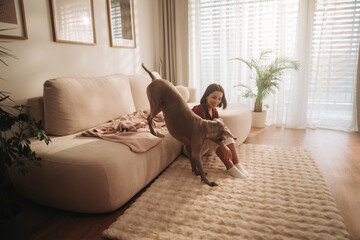 spontaneous moment of woman photographing her dog amidst warm home decor and plant accents