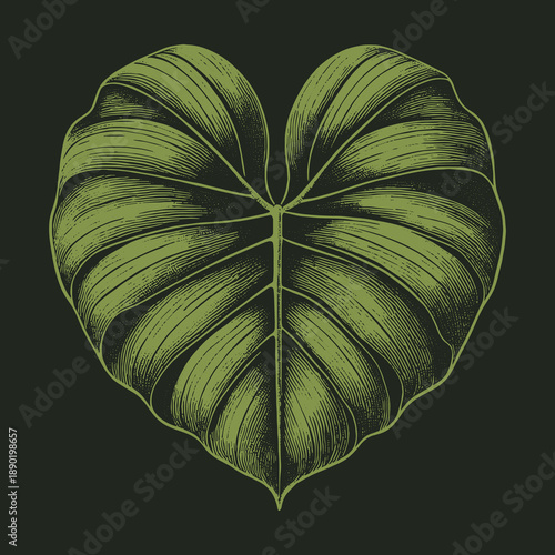 Heart-Shaped Leaf Illustration: A Symbol of Natures Love and Growth.