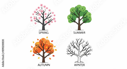 Four seasonal trees illustration showcasing spring summer autumn and winter