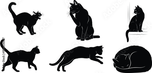 Domestic Feline Motion Shapes in Solid Style. Cat Silhouette Collection for Decoration and Branding. Elegant Pet Concept.A collection of black cat silhouettes in various poses and movements 