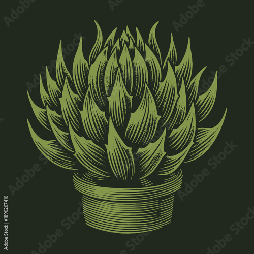Engraved Artichoke Plant Illustration in Pot Vintage Botanical Design.