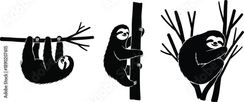 Relaxed Sloth Figures Hanging from Branches. Wildlife Illustration Trio for Nature and Calm Lifestyle Concepts. Slow Living Them
