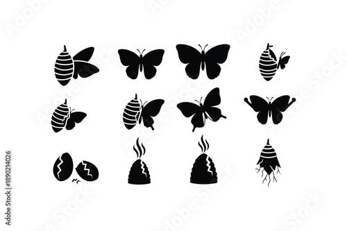 Silhouette of various butterfly and moth shapes in black on white background silhouette