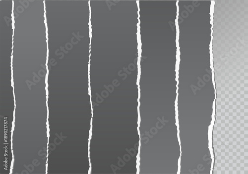 Realistic ripped white paper sheets isolated on transparent background. Torn blank pages with uneven texture. Vector