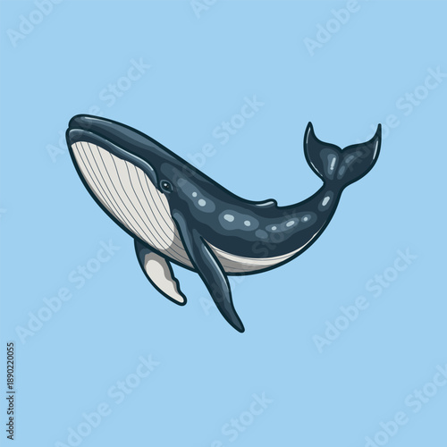Whale Animal Illustration on Blue Background
