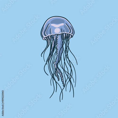 Jellyfish Animal Illustration on Blue Background