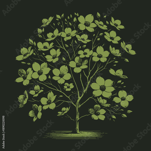 Vintage Dogwood Tree Illustration with Green Flowers and Branches.