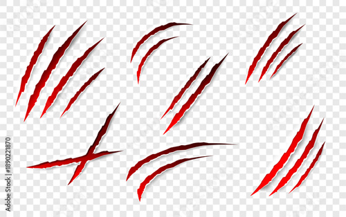Claws scratches - vector isolated. Claws scratches animal claw tracks cat or tiger bear or lion attack nails scratches. Horror, Halloween monster. Vector