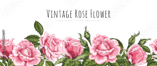 Banner with vintage pink roses and green leaves, along a seamless bottom border.