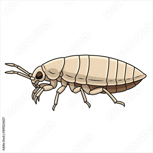 Lice illustration vector art design
