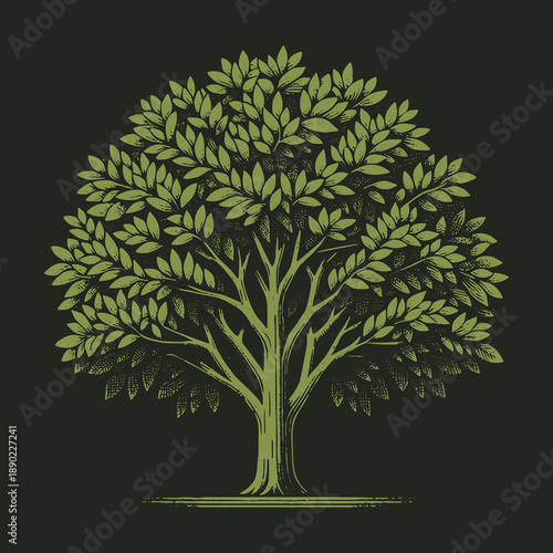 Detailed Tree Illustration with Lush Green Foliage and Intricate Branches.