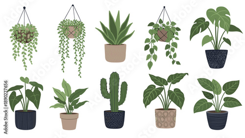 Assorted potted houseplants and hanging greenery are displayed in a neat collection of illustrations for home decor inspiration.