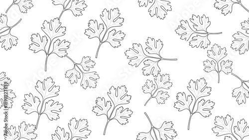 Sketched coriander or parsley leaves in black and white line art style create a clean and modern seamless culinary herbal pattern.