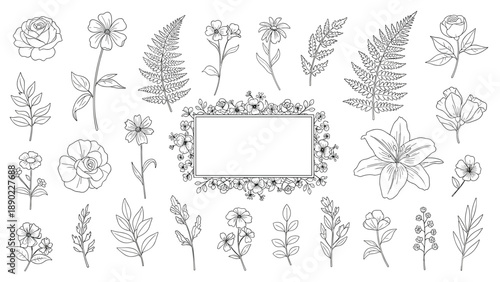 Diverse collection of delicate hand drawn floral and botanical sketches includes a central flower frame for personalized designs.