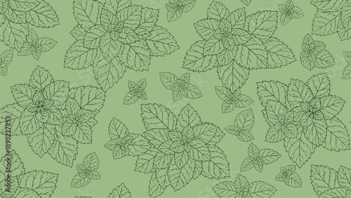 Herbal mint leaf seamless pattern featuring detailed sprigs and foliage in dark line drawings on a refreshing light green background for tea.