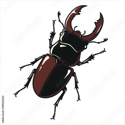 A beautiful stag beetle illustration vector
