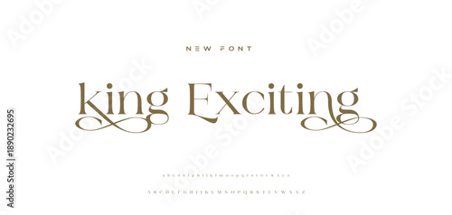 Lettering Minimalist Fashion. Elegant alphabet letters serif font and number. Typography fonts regular uppercase, lowercase.
