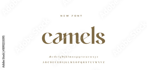 Lettering Minimalist Fashion. Elegant alphabet letters serif font and number. Typography fonts regular uppercase, lowercase.