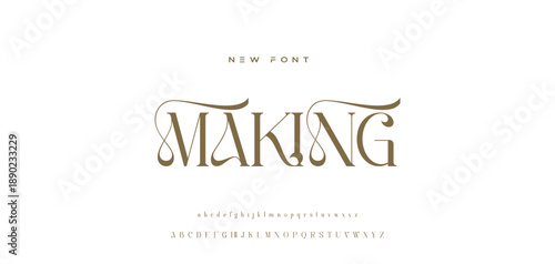Lettering Minimalist Fashion. Elegant alphabet letters serif font and number. Typography fonts regular uppercase, lowercase.