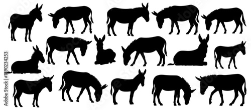 Donkey Silhouettes, set of donkey animals silhouettes vector collection, Hand drawn donkey silhouette