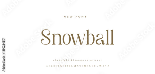 Lettering Minimalist Fashion. Elegant alphabet letters serif font and number. Typography fonts regular uppercase, lowercase.