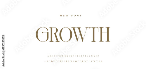 Lettering Minimalist Fashion. Elegant alphabet letters serif font and number. Typography fonts regular uppercase, lowercase.