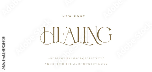 Lettering Minimalist Fashion. Elegant alphabet letters serif font and number. Typography fonts regular uppercase, lowercase.