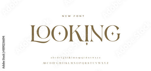 Lettering Minimalist Fashion. Elegant alphabet letters serif font and number. Typography fonts regular uppercase, lowercase.