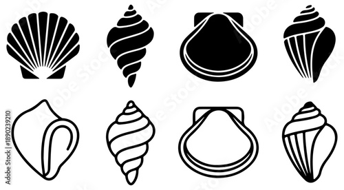 Set of various seashell silhouettes and marine life icons set on white background, sea, ocean, silhouette, marine, beach, summer, snail, conch, scallop, aquatic, underwater, nature, collection, set