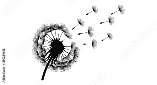 A detailed black and white illustration of a dandelion releasing seeds into the breeze presented as a striking silhouette high quality
