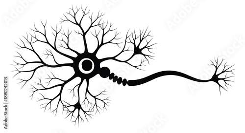 A detailed illustration of a neuron showcasing its complex structure and branching dendrites presented as a silhouette high quality professional modern