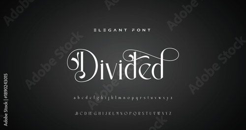 Lettering Minimalist Fashion. Elegant alphabet letters serif font and number. Typography fonts regular uppercase, lowercase.