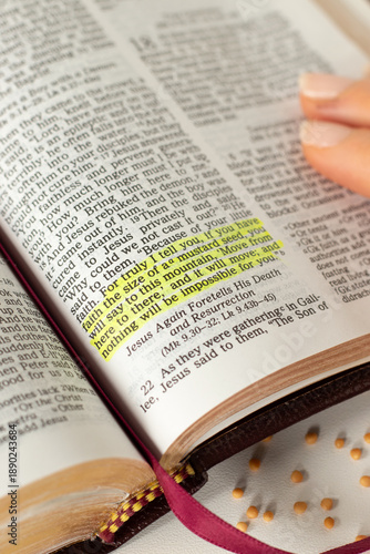 Cuadro en lienzo Holy bible book with mustard seeds