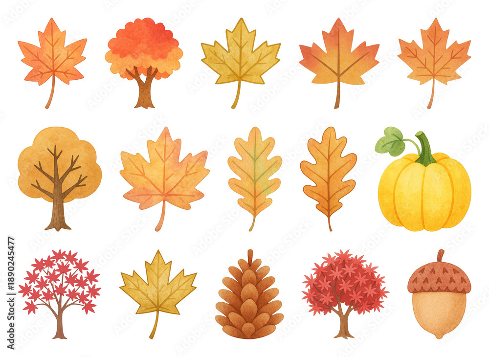 Fototapeta premium PNG Autumn leaves pumpkin acorn illustration, element set on transparent background