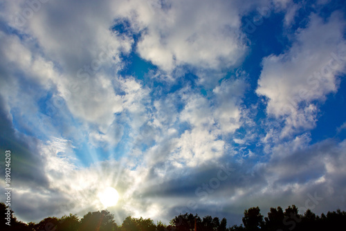 Summer sunset with big clouds and trees.