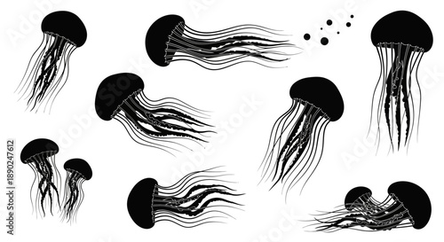 Collection of black jellyfish silhouettes in various poses.