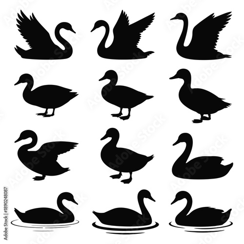 Elegant silhouette vector icon set showcasing various swans and ducks for nature themed designs, minimal wildlife symbols ideal for logos, illustrations, branding, prints and outdoor related visuals.
