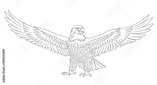 eagle with outstretched wings standing