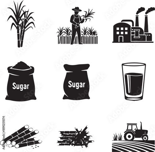 Sugarcane production and sugar manufacturing process icons set: from harvest to refined product