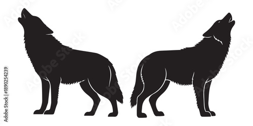 Fierce wolf head mascot with an aggressive snarl and bared teeth. Vector silhouette illustration a silhouette of a fox or wolf running, Set of wolf silhouettes isolated. Sticker, print or tattoo