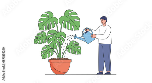 Man watering a large potted Monstera plant with a watering can representing gardening plant care and home hobbies with a white background, Generative AI.