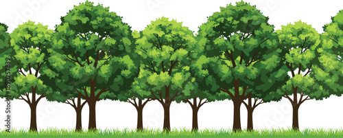 Green forest tree line landscape illustration with lush foliage and grass, natural park scenery background representing nature, environment, ecology, outdoor scenery, summer woodland and greenery 