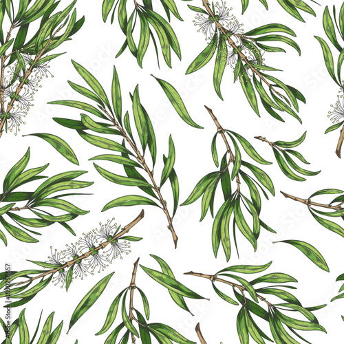Seamless wallpaper with hand-drawn watercolor tea tree branches with green leaves and flowers.