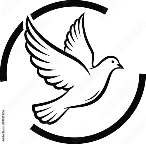 White dove in flight