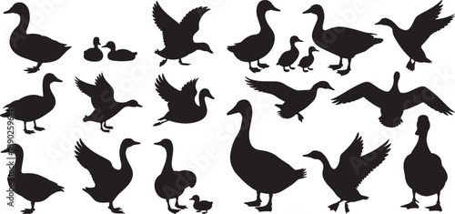 collection goose and duck silhouettes in various poses, including standing, swimming, and flying. vector illustration