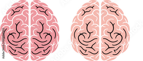 Human brain hemisphere illustration set showing left and right cerebral lobes, flat medical anatomy design for neuroscience education, psychology concepts, healthcare visuals, infographics, and 